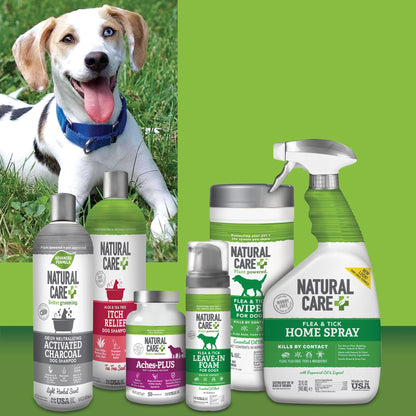 (3 Pack) + Flea and Tick Home Spray for Dogs, Cats and Home, 32 Fl Oz